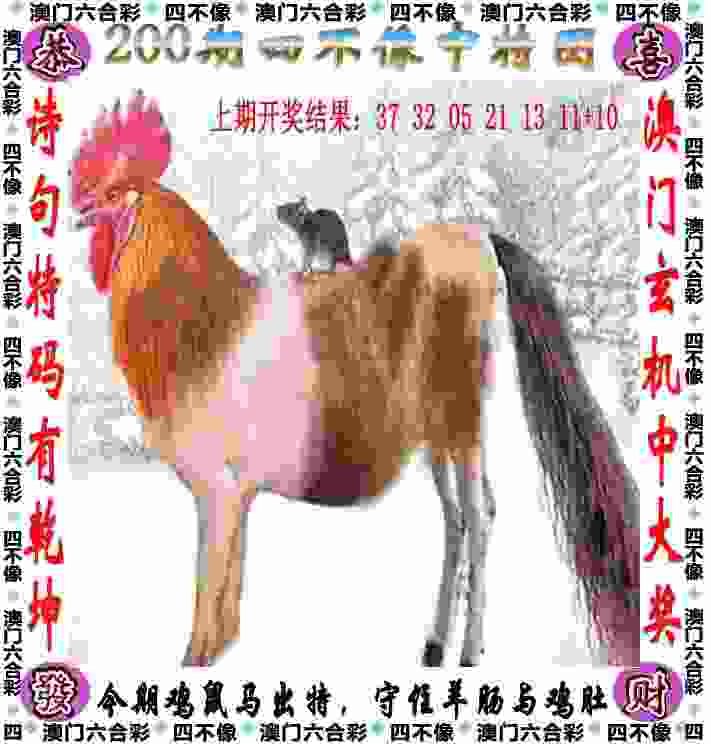 【楠楠自语】平凡之路